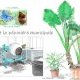 Consulter cet album